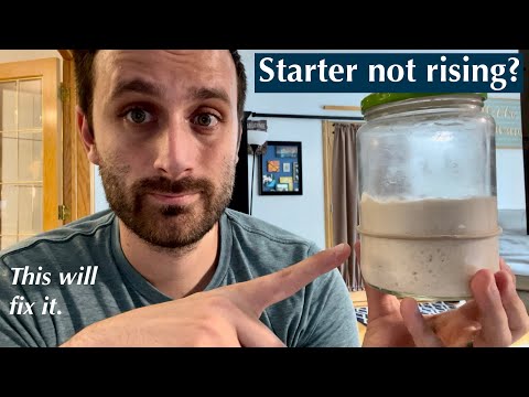 How to Fix Your Sourdough Starter When It WON&#039;T RISE