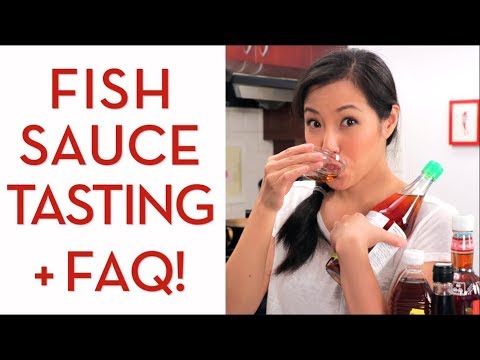 Ultimate Guide to FISH SAUCE - Hot Thai Kitchen