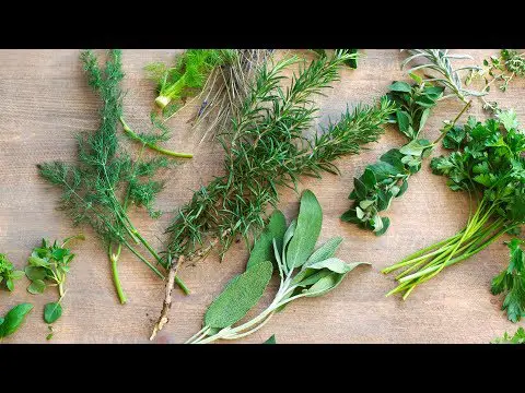 Herb Stems - Don&#039;t Throw Them Out! | Food 101 | Well Done