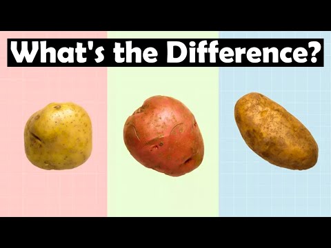 Russets vs. Red vs. Yukon Gold Potatoes: What&#039;s the Difference?