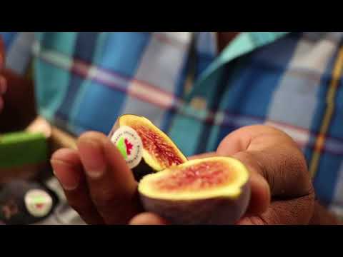How to eat Figs