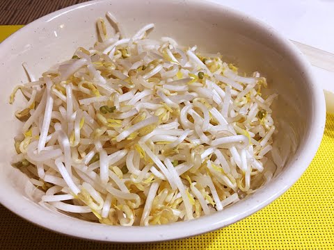 Bean Sprouts • How to Extend Their Shelf Life - Tips &amp; Tricks 60
