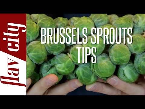 Brussels Sprouts Stalk - How To Cook Brussels Sprouts