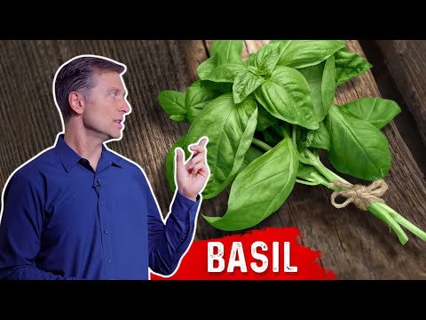 Amazing Health &amp; Nutritional Benefits Of Basil | Dr. Berg