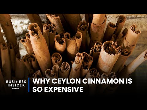 Why Ceylon Cinnamon Is So Expensive | So Expensive