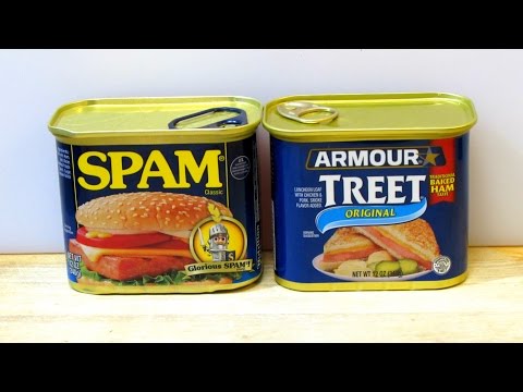SPAM vs. TREET - Battle of Canned Meats - WHAT ARE WE EATING??