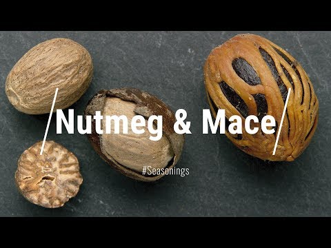 NUTMEG &amp; MACE What Are They? How Are They Related? Everything You Need To Know About NUTMEG &amp; MACE