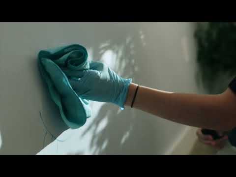 How to clean painted walls in 6 Easy Steps | Benjamin Moore