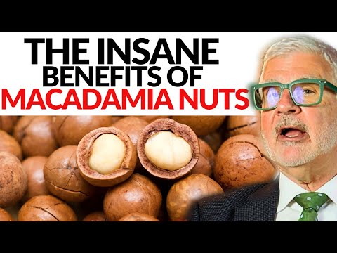 The Insane Health Benefits of Macadamia Nuts | Dr. Steven Gundry