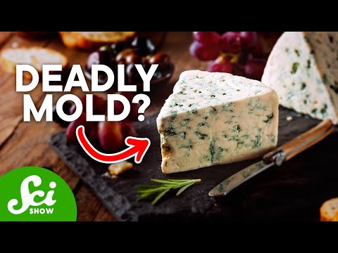 Why Moldy Food is More Dangerous Than You Thought