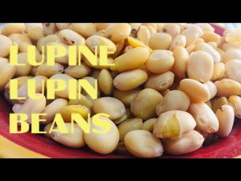 LUPINI / LUPIN BEANS HOW TO COOK?