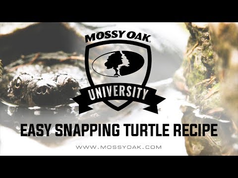 How To Cook A Snapping Turtle | Turtle Recipe