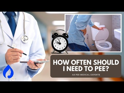 How Long Does It Take To Pee After Drinking Water?