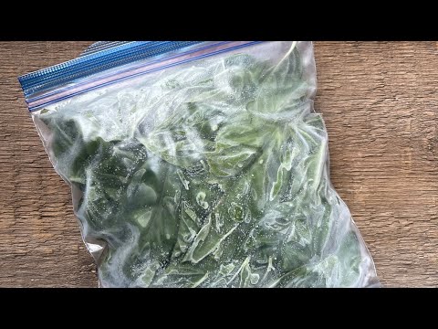 The easiest, fastest, best way to FREEZE BASIL!