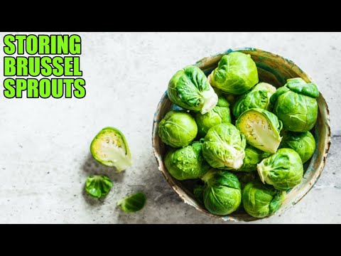 How to Store Brussel Sprouts to Keep Them Fresh?