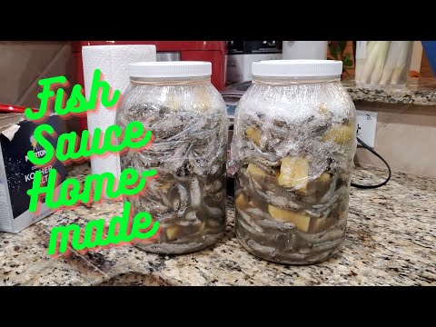 Fermented Fish Sauce Homemade