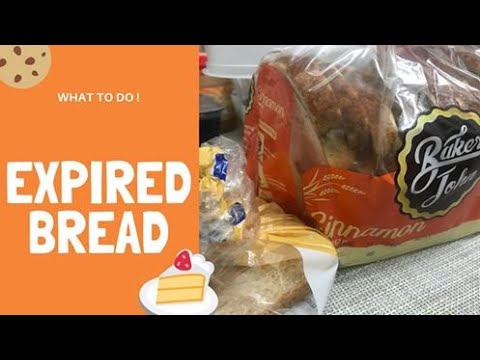 Expired bread what to do|Vlog#13