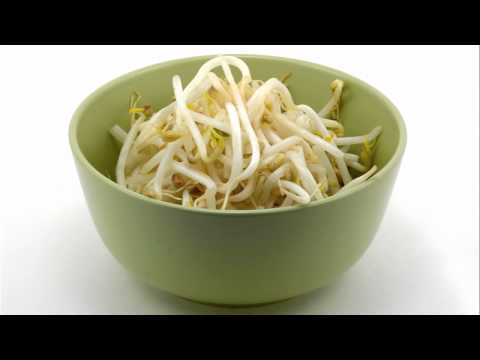 Salmonella Outbreak from Wonton Foods Bean Sprouts