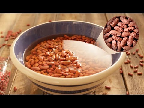 Why You Should Soak Beans Overnight Before Cooking