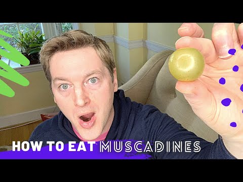 How to Eat Muscadine Grapes - Scuppernongs