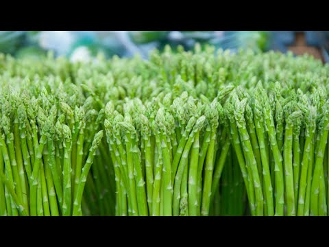 12 Major Benefits of Asparagus | Health And Nutrition