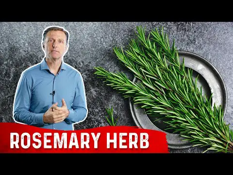 The Health Benefits of Rosemary