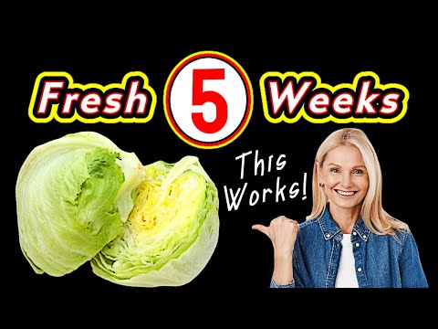 How to Keep Lettuce Fresh Longer!
