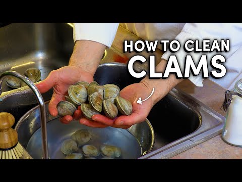 How to clean and wash clams