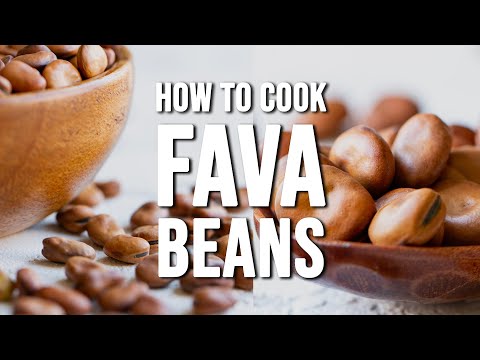 How to Cook Dried Fava Beans | Benefits + Recipe Ideas