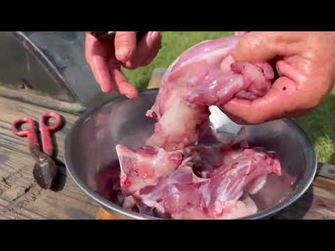 How to cook and clean snapping turtle