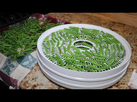 Dehydrating Green Beans