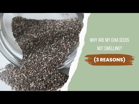 Why Are My Chia Seeds Not Swelling?