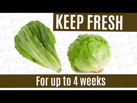 How to keep lettuce fresh longer in fridge for 4 weeks | Best way to store Fresh Lettuce