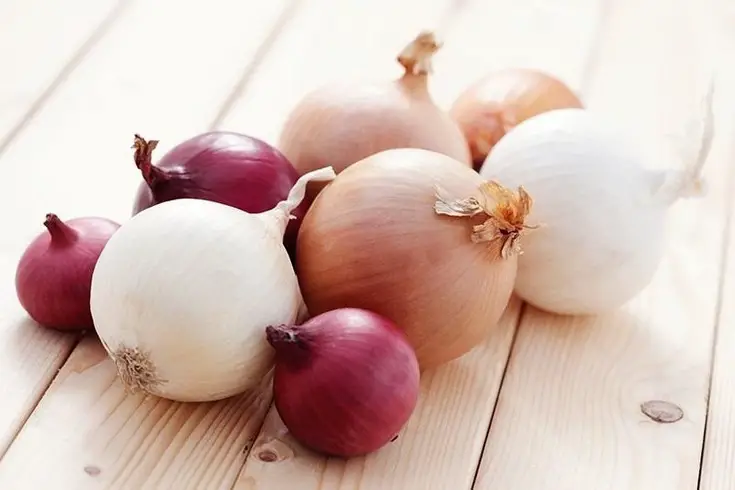 many onions sizes