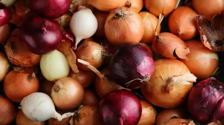 How to Tell if an Onion Is Bad (Easy Signs)