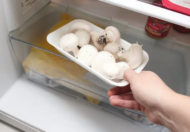 Mushrooms Need to Be Refrigerated