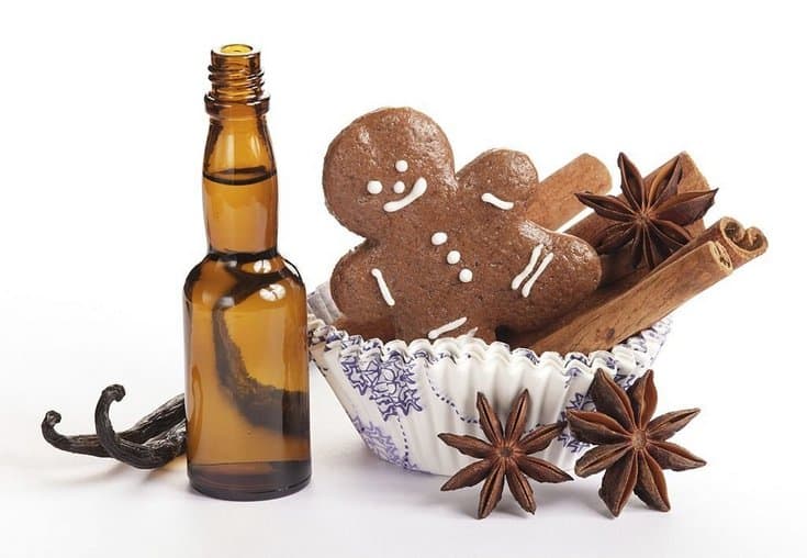 Do You Really Need Vanilla Extract for Cookies & French Toast?