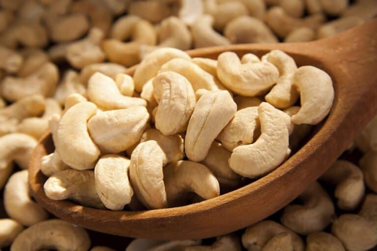 Are Raw Cashews Poisonous Before Being Processed Until Roasted?