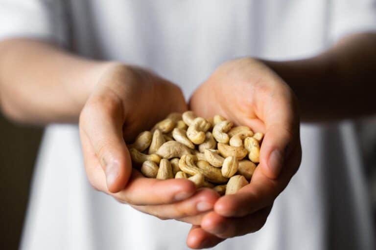 Is Eating Cashews Everyday Bad for You? Risks & Facts
