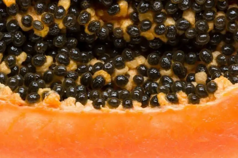 Can You Eat Papaya Seeds Raw Whole? (Benefits and Nutritions Value)
