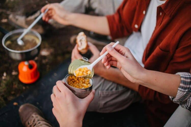 Do Canned Beans Have Lectins or Are They LectinFree? (Facts You Should