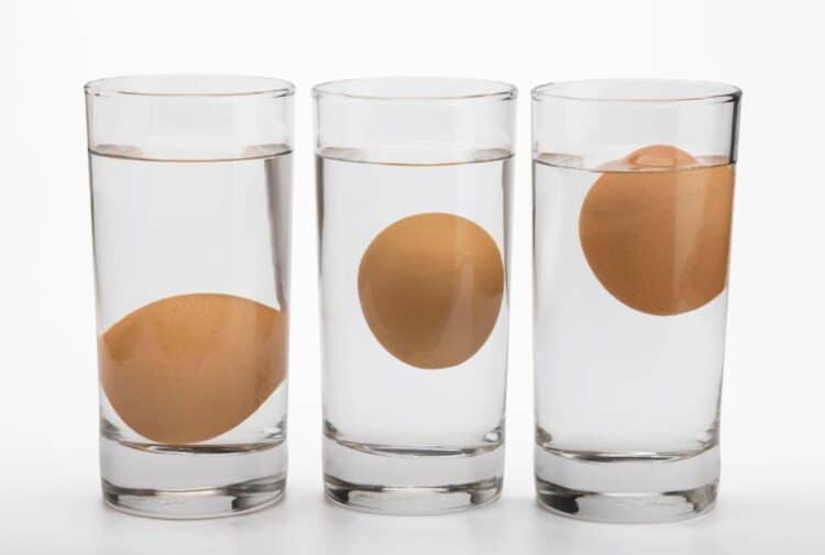 Can You Eat Boiled Eggs That Float? Are They Safe to be Consumed