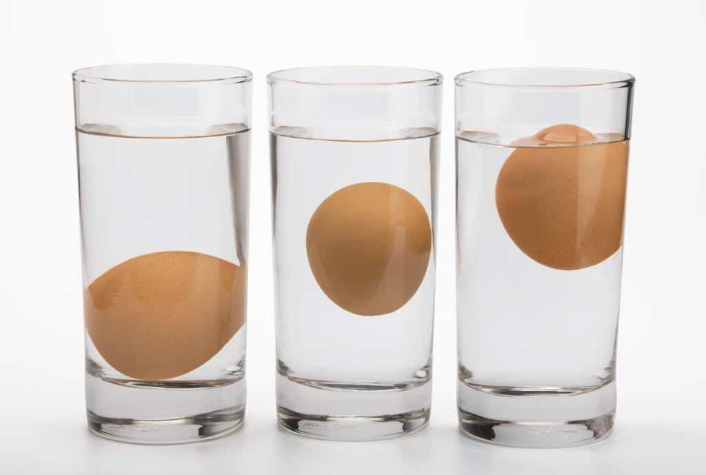 eggs that float