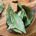 bay leaf