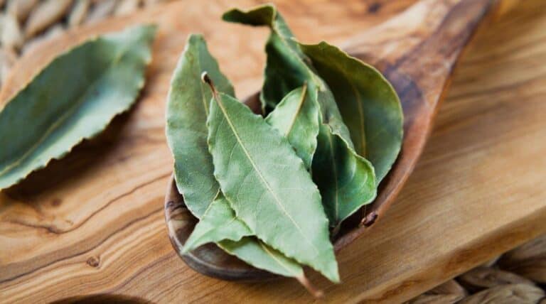 Does Bay Leaf Add Flavor and Really Make a Difference in Taste?