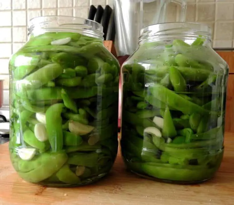 How to Pickle Green Beans Without Canning (Quick Pickled Refrigerator