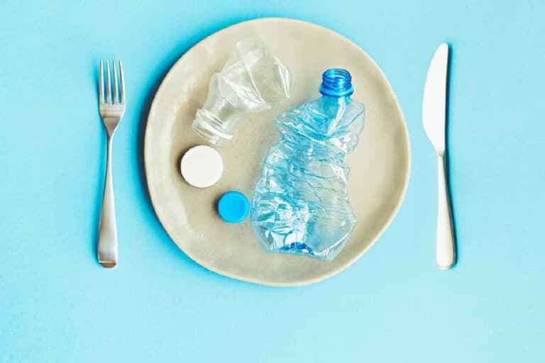 Accidentally Cooked Plastic With Your Food — Here’s What Happened