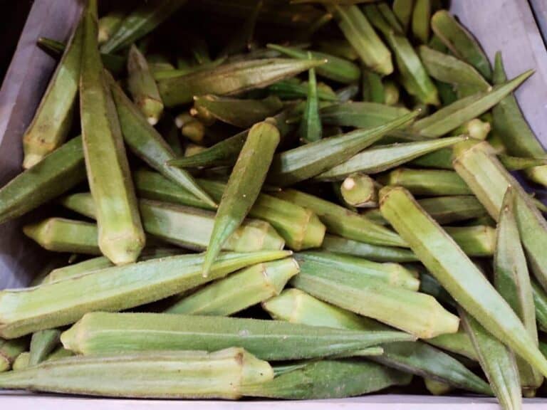 How Much Okra Should You Eat a Day? Is It Safe to Eat Raw?