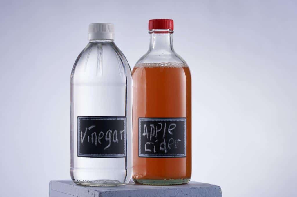 vinegar and apple cider vinegar
