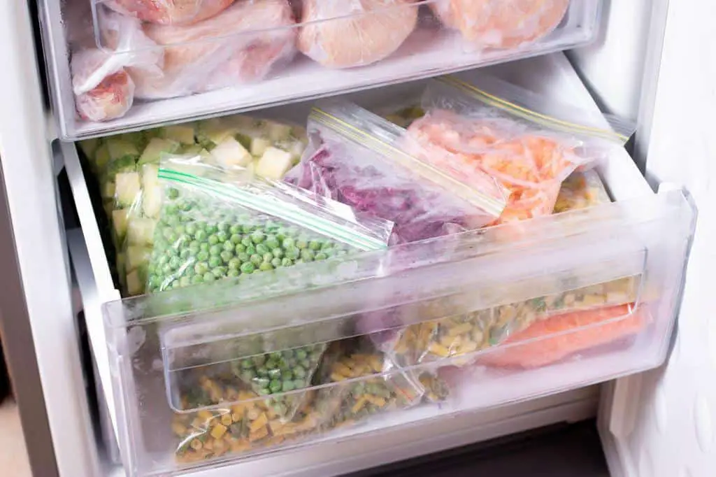 frozen food in fridge container
